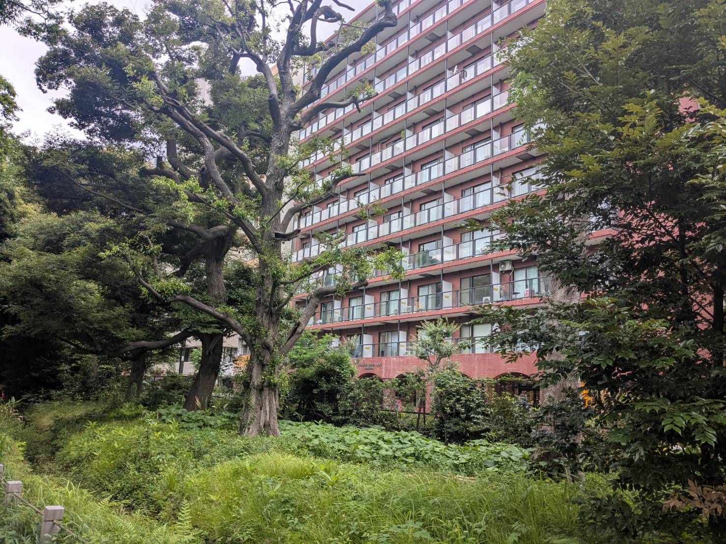 新宿御苑前マンション外観